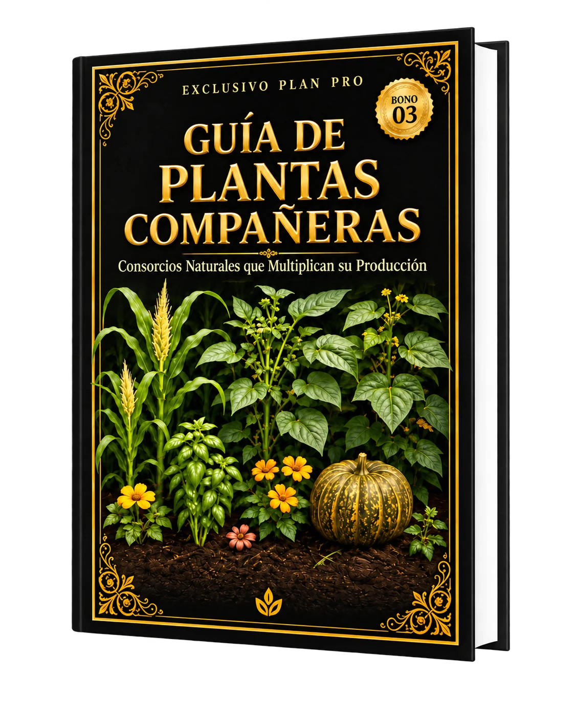 Guía de Plantas Compañeras