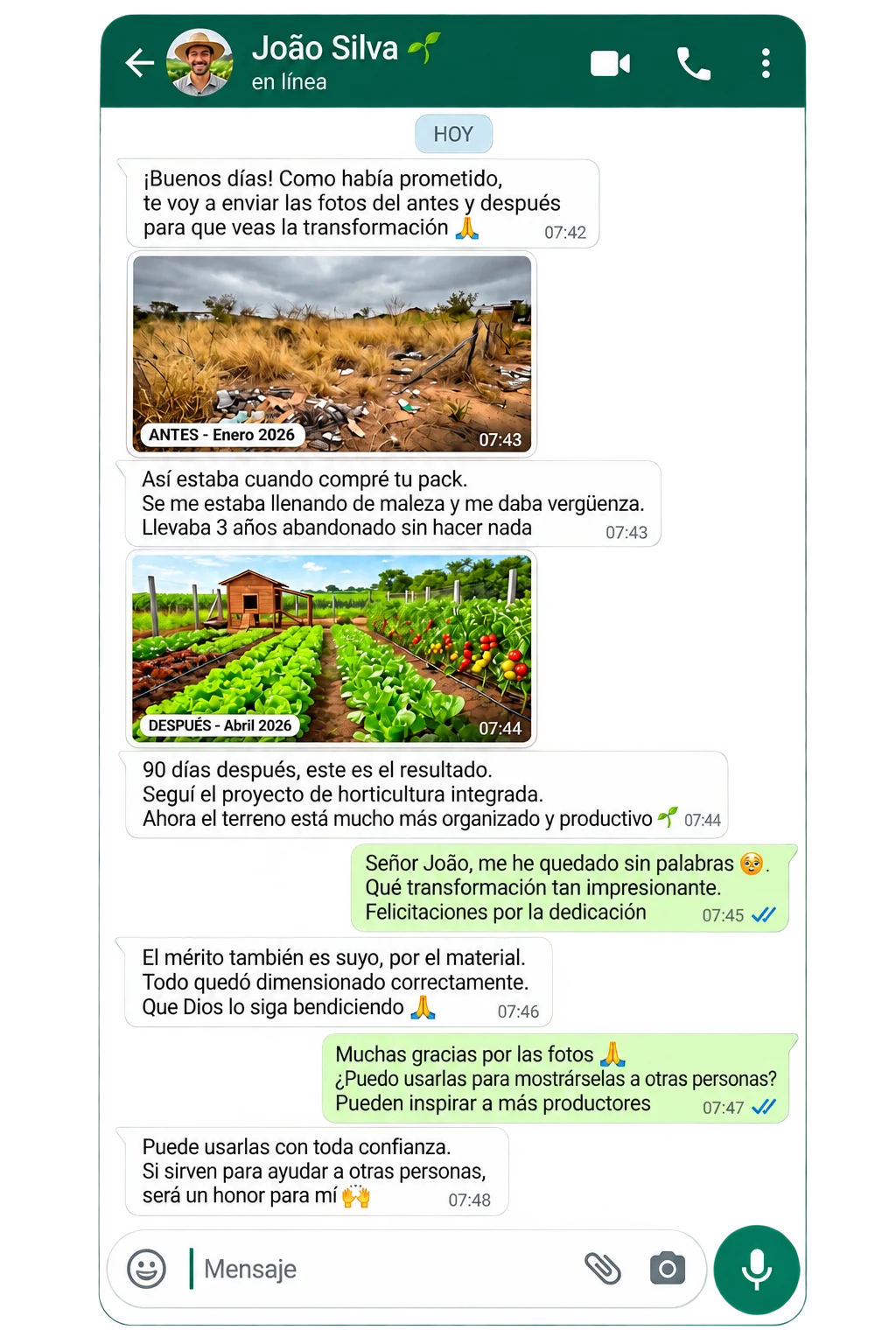 Testimonio 3