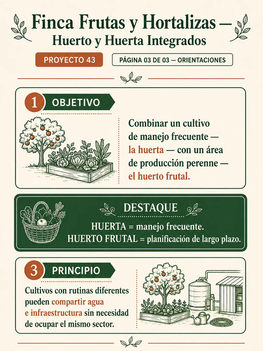 Muestra 13